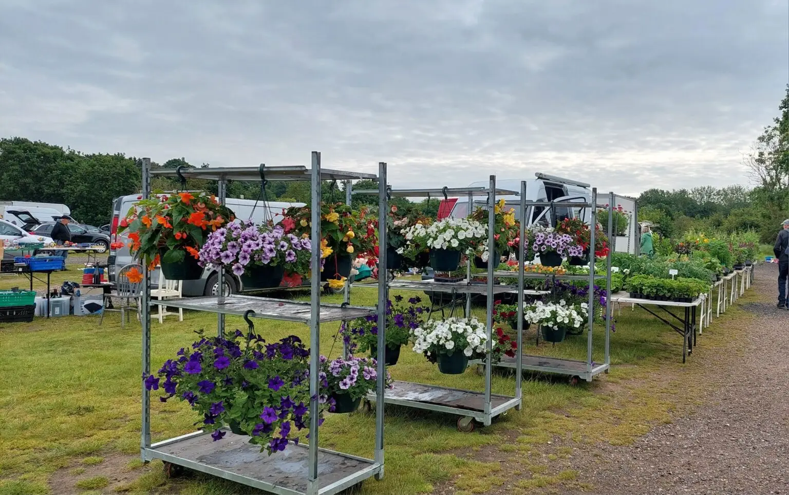 Car Boot Plants Stall